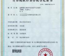 软件著作权申请全攻略 自主办理与专业代理详解